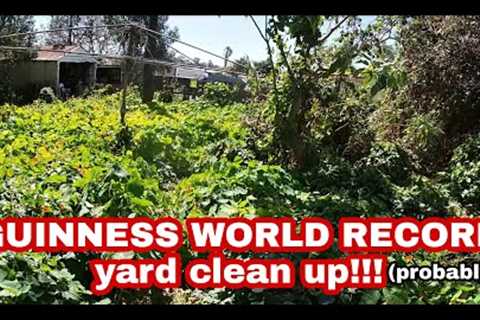 80 year old gets the BIGGEST YARD CLEAN UP ever! 6 VIDEOS in 1