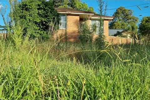 The Neighbours THREATEN Elderly GRANDMA And Said Get Your MESSY OVERGROWN Lawn Mowed OR ELSE!