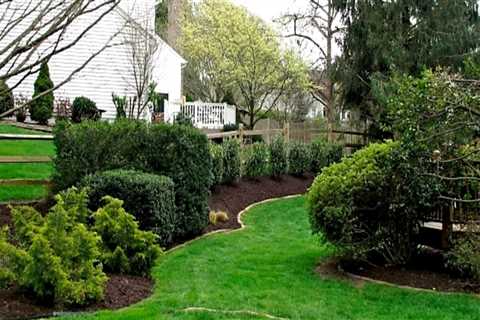 The way Gutter Cleaning can protect your Gardening and Weed Control