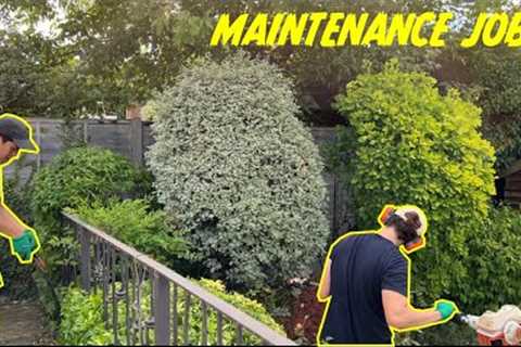 Another Day Another Garden Maintenance Job | Hedge Trimming | Weeding | Bush Removal | Lawn Care