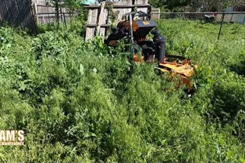 Helping out struggling neighbor | Overgrown backyard cleanup | Tall grass mow | Oddly Satisfying