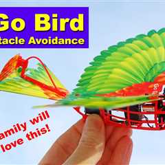 The RC Go Go Bird is inexpensive and fun for the whole family! Just don’t fly it in the wind! Review