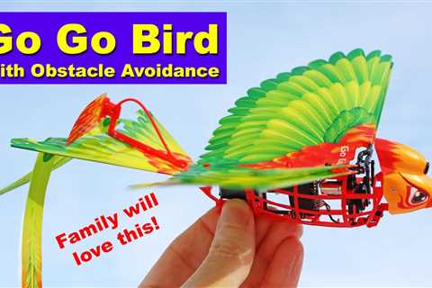 The RC Go Go Bird is inexpensive and fun for the whole family! Just don’t fly it in the wind! Review