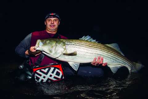 Circle Hook Guide for Striper Fishing