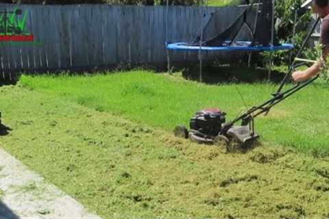 BIG Lawn Clean Up! (PART 1)