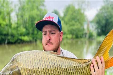 Bass Fishing in Northern VA: Uncovering the Best Spots for a Successful Catch