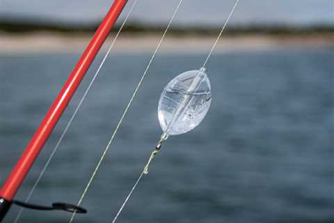 The Splash-and-Feather Rig: A Spin Fisherman’s Cheat Code