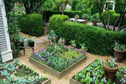 When to plant home garden?