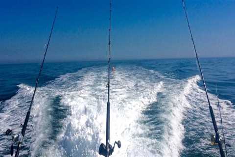 What is a split charter fishing trip?