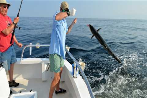 How do fishing charters work?