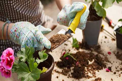 Can you reuse last year garden soil?