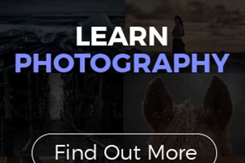 Master the Art of Photography with Online Courses