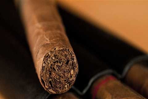 The 10 Best Cigars for Beginners: A Comprehensive Guide