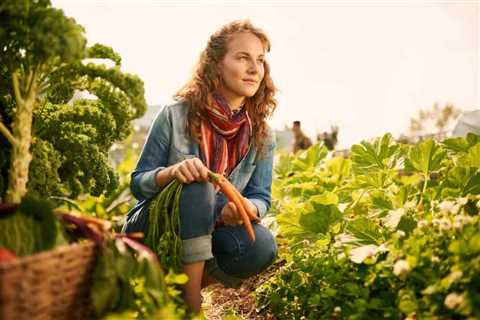 How Do Vegetables Grow Without Seeds?