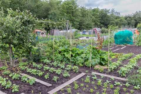 How Do Vegetables Reproduce?