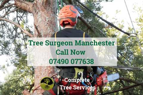 Portwood Tree Surgeons Tree Removal Felling & Dismantling across Portwood