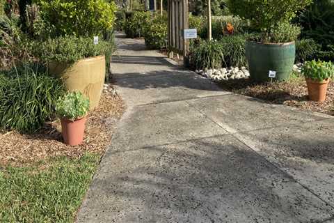 Exploring Native Plant Gardens in Central Florida