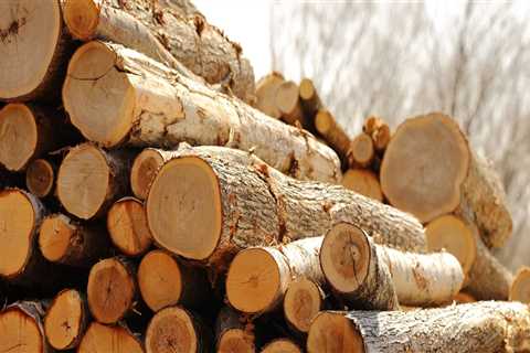 Is the forestry industry growing?