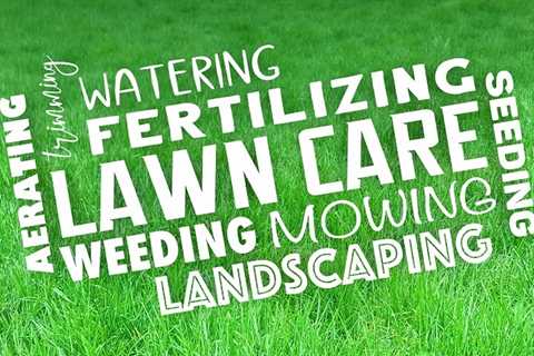 Lawn Care Products That Will Make Your Neighbors Jealous