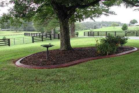 How To Group Trees In Landscaping - NC Mountainscape