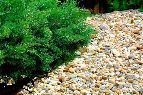 How To Dispose Of Landscaping Rocks - NC Mountainscape