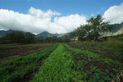 How Much of Oahu's Land is Dedicated to Agriculture?