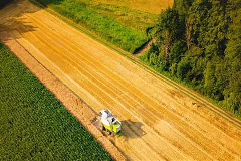 Promoting Education and Training in Agriculture: Strategies for a Sustainable Future