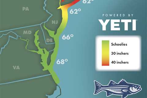 Striper Migration Map – June 23, 2023