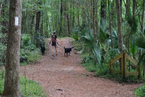 Can You Take Your Pet Along on Biking Trails in Cape Coral, Florida?