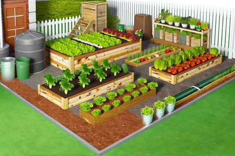 Raised Bed Gardens: The Secret to Efficient and Sustainable Gardening at Home