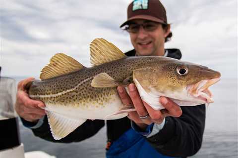 Update on Recreational Fishing Limits for Cod and Haddock