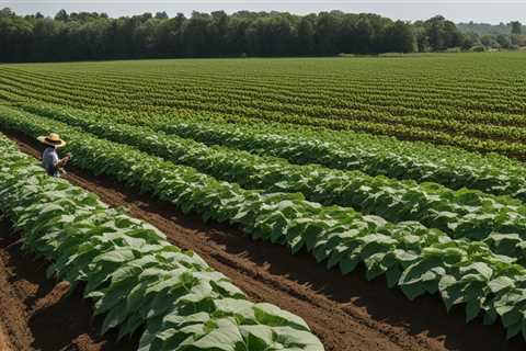 Boost Your Soil with Organic Gardening Cover Crop