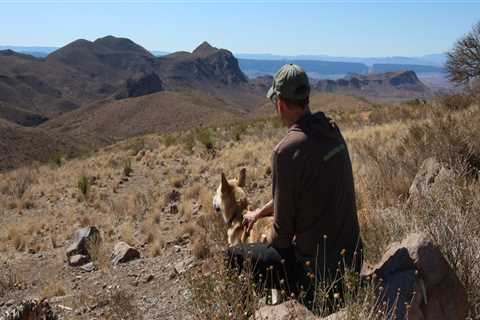 Discovering the Dog-Friendly Trails of Hays County, TX