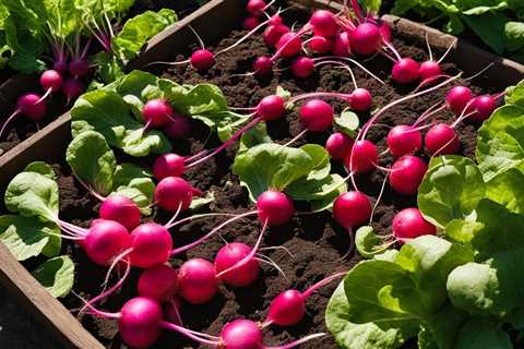 Grow Your Best Root Veggies with These Tips