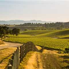 Where to Stay In The Santa Ynez Valley: 4 Best Areas