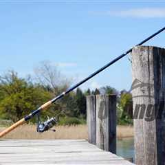 6 Essential Pieces of Fishing Gear Every Angler Should Have