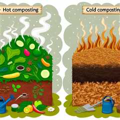 “Hot Composting vs. Cold Composting: Which Method is Best for You?”