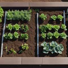 Efficient Watering Systems for Raised Garden Beds