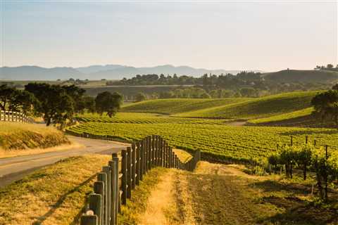 Where to Stay In The Santa Ynez Valley: 4 Best Areas