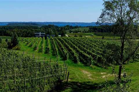 Exploring the Average Size of Vineyards in Dulles, Virginia