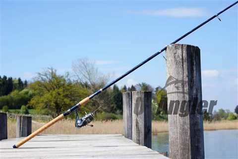 6 Essential Pieces of Fishing Gear Every Angler Should Have