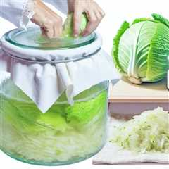 The Basics of Sauerkraut Fermentation