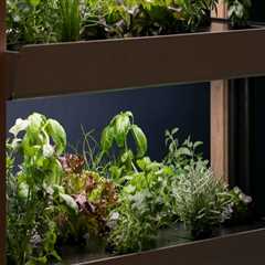 How to Create Stunning Stacked Container Gardens for Urban Hydroponic Gardening
