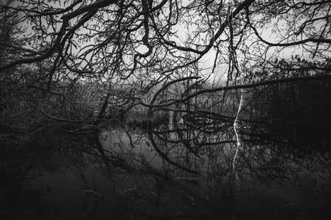 Small bog Vaakkolammi in Tampere city, playing with darkness, snow and fire. Finland. Black and..