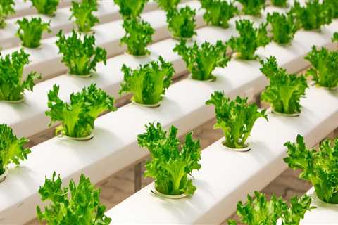 Micronutrients for Hydroponic Gardening