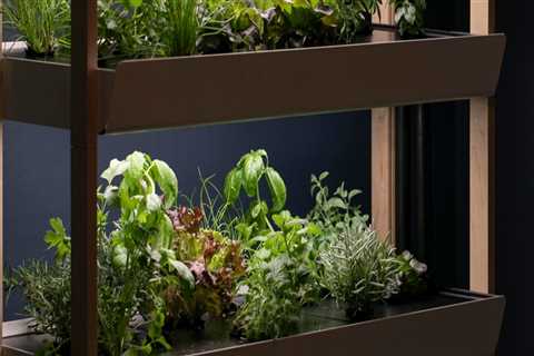 How to Create Stunning Stacked Container Gardens for Urban Hydroponic Gardening