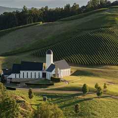 Exploring the Award-Winning Vineyards of Dulles, Virginia