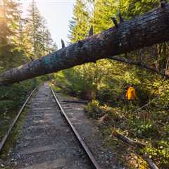 Wesley Ridge, Vancouver Island