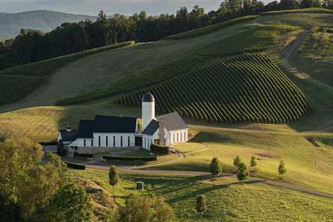 Exploring the Award-Winning Vineyards of Dulles, Virginia