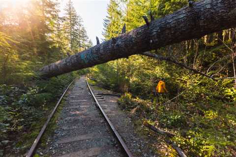 Wesley Ridge, Vancouver Island